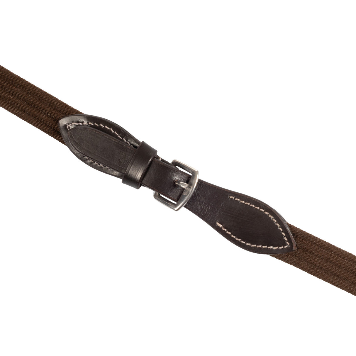 Leather Reins with Webbing Strap