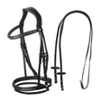 Leather bridle with black clincher