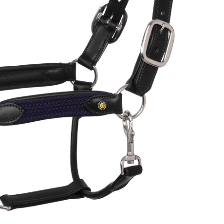 Leather halter with braided nylon inserts