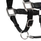 Leather halter with braided nylon inserts