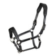 Leather halter with glittery piping
