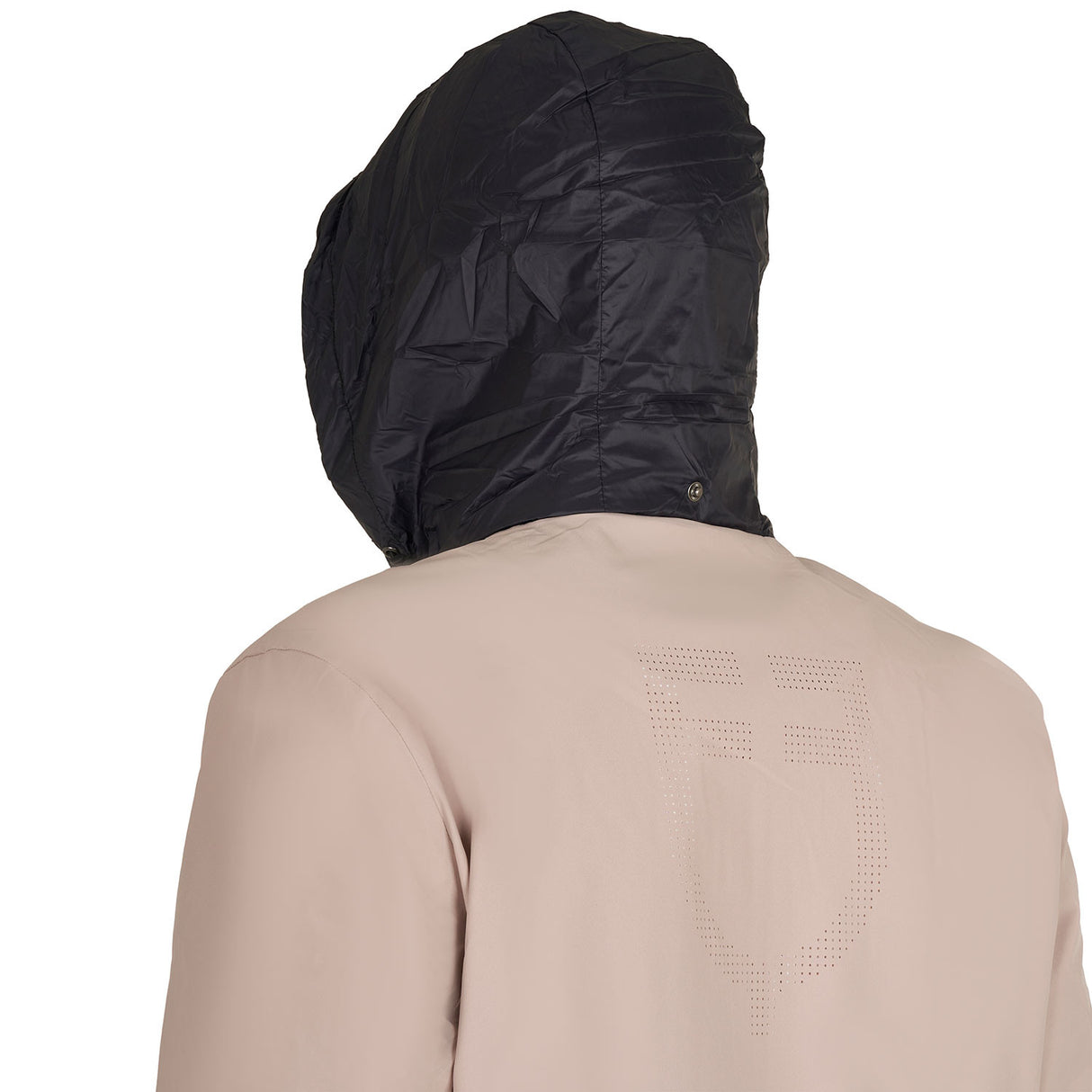 Men's softshell jacket with back logo