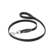 Web dog leash