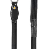 Web dog leash