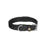 Web dog collar