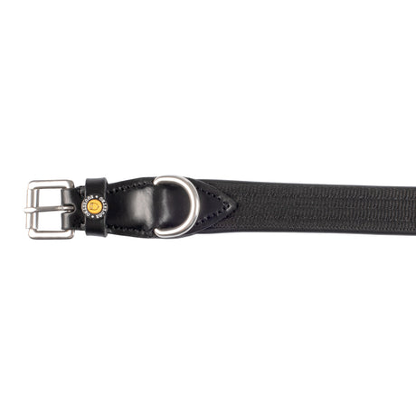 Web dog collar