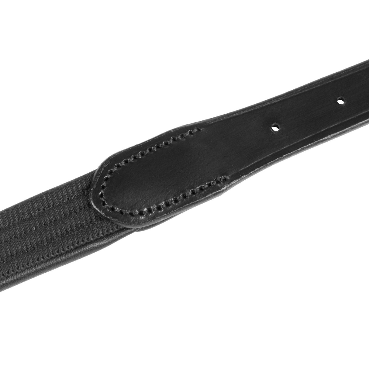 Web dog collar