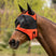 Fly mask with front logo