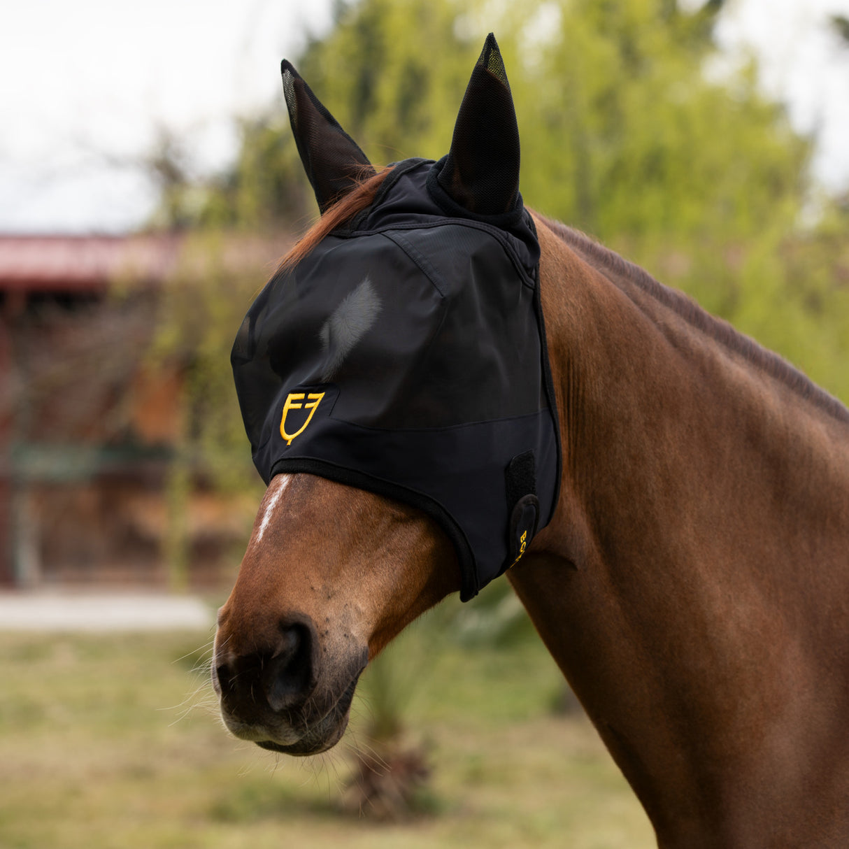 Fly mask with front logo
