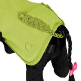 Toy Horse fleece rug