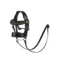 Leather bridle for toy horse with silver clinchers