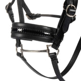 Leather bridle for toy horse with silver clinchers