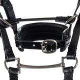 Leather bridle for toy horse with silver clinchers