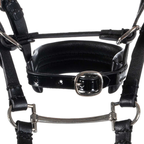 Leather bridle for toy horse with silver clinchers