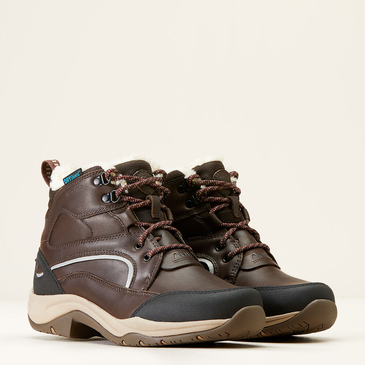Ariat Women's Telluride Waterproof Insulated Boot