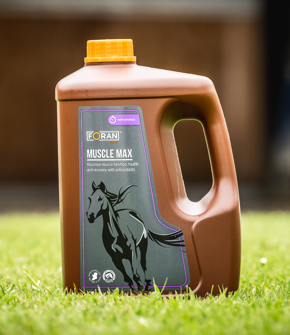 Foran Equine Horse Supplements & Nutrition – GS Equestrian