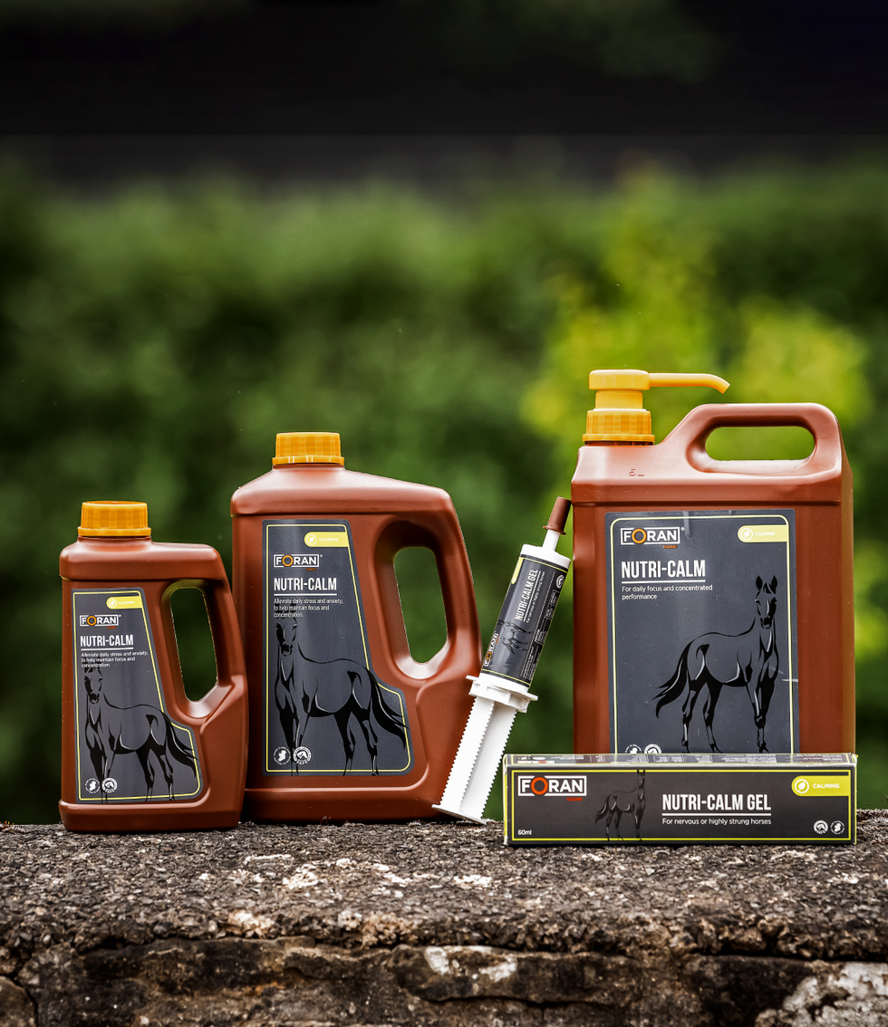 Foran Equine Horse Supplements & Nutrition – GS Equestrian
