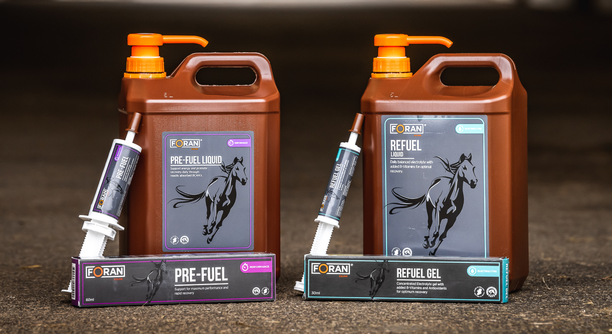 Foran Equine Horse Supplements & Nutrition – GS Equestrian
