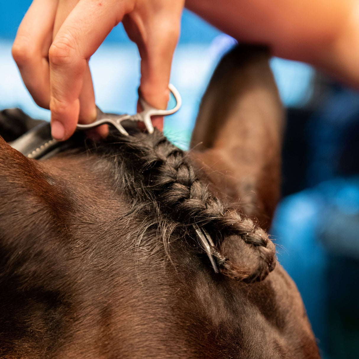 Smart Grooming Plaiting Grippers