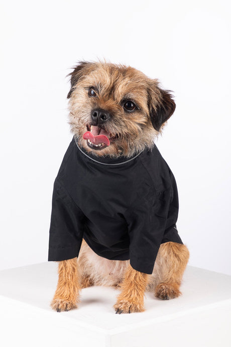 Rydale Dog Raincoats - Yapham