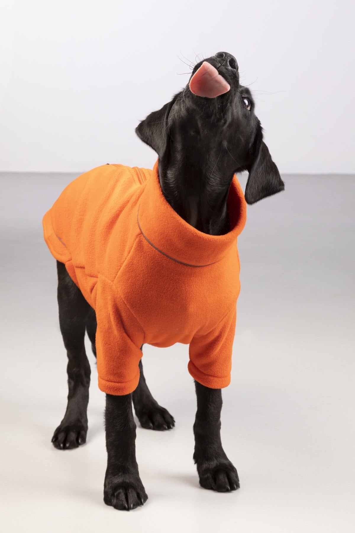 Rydale Fleece Dog Jumper - Yapham