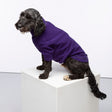 Rydale Fleece Dog Jumper - Yapham