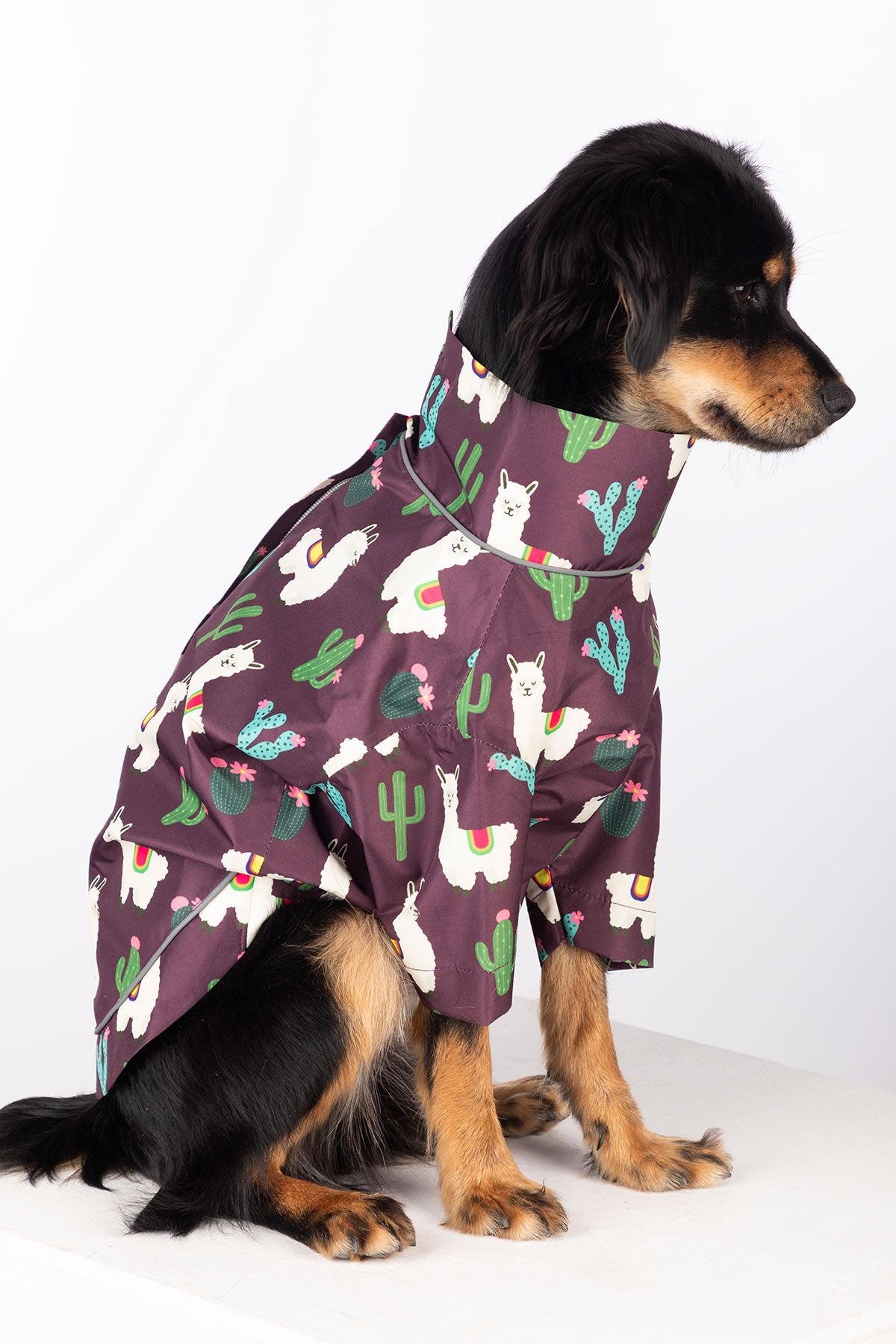 Rydale Patterned Dog Raincoats - Yapham