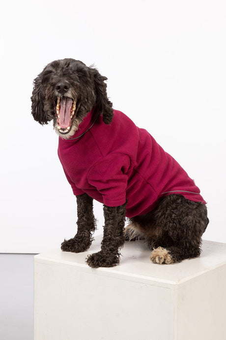 Rydale Fleece Dog Jumper - Yapham