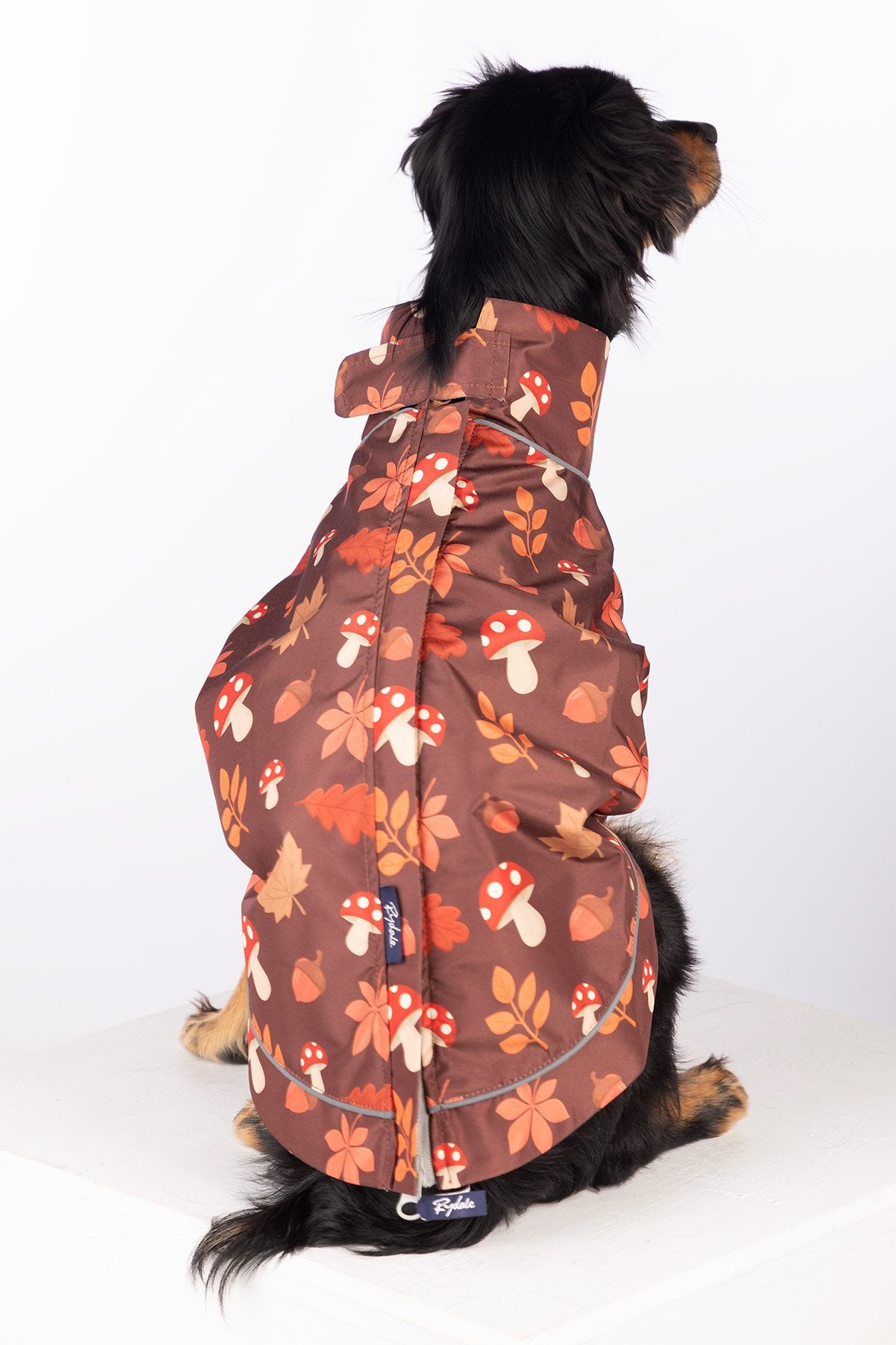 Rydale Patterned Dog Raincoats - Yapham
