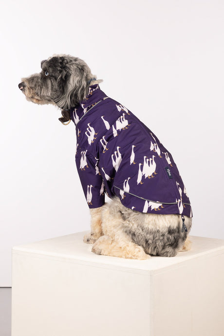 Rydale Patterned Dog Raincoats - Yapham