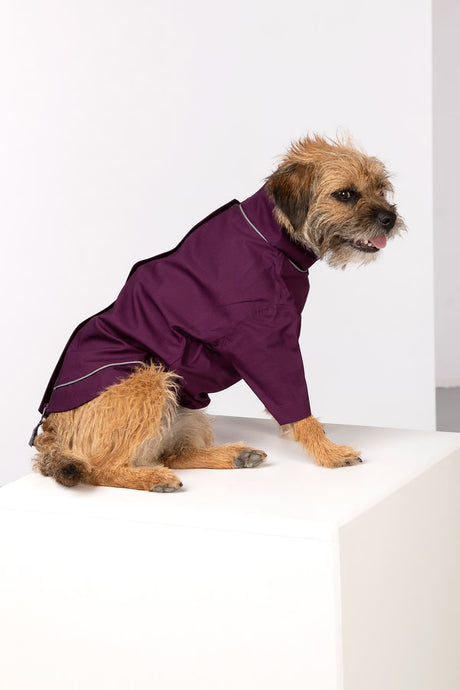 Rydale Dog Raincoats - Yapham