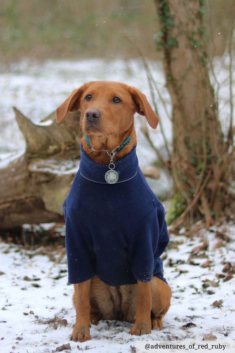 Rydale Fleece Dog Jumper - Yapham
