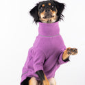 Rydale Fleece Dog Jumper - Yapham