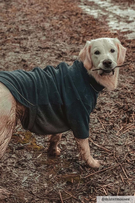 Rydale Fleece Dog Jumper - Yapham