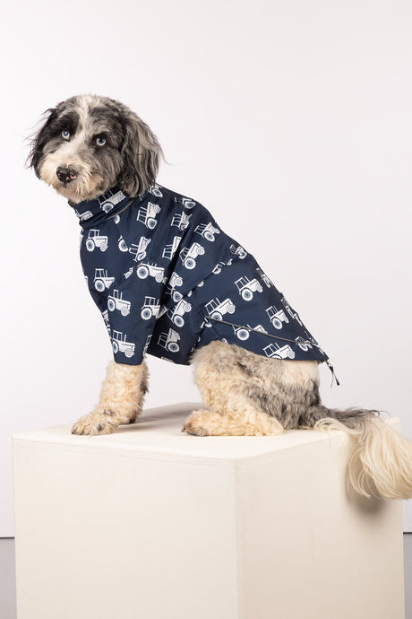 Rydale Patterned Dog Raincoats - Yapham