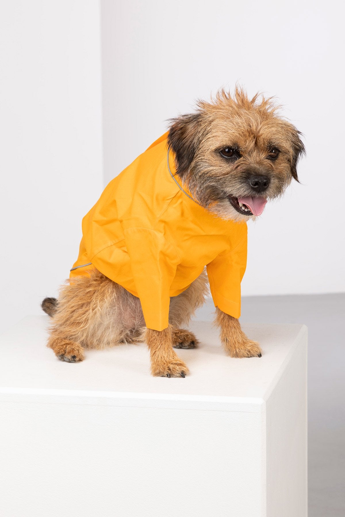 Rydale Dog Raincoats - Yapham