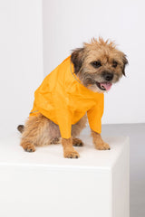 Rydale Dog Raincoats - Yapham