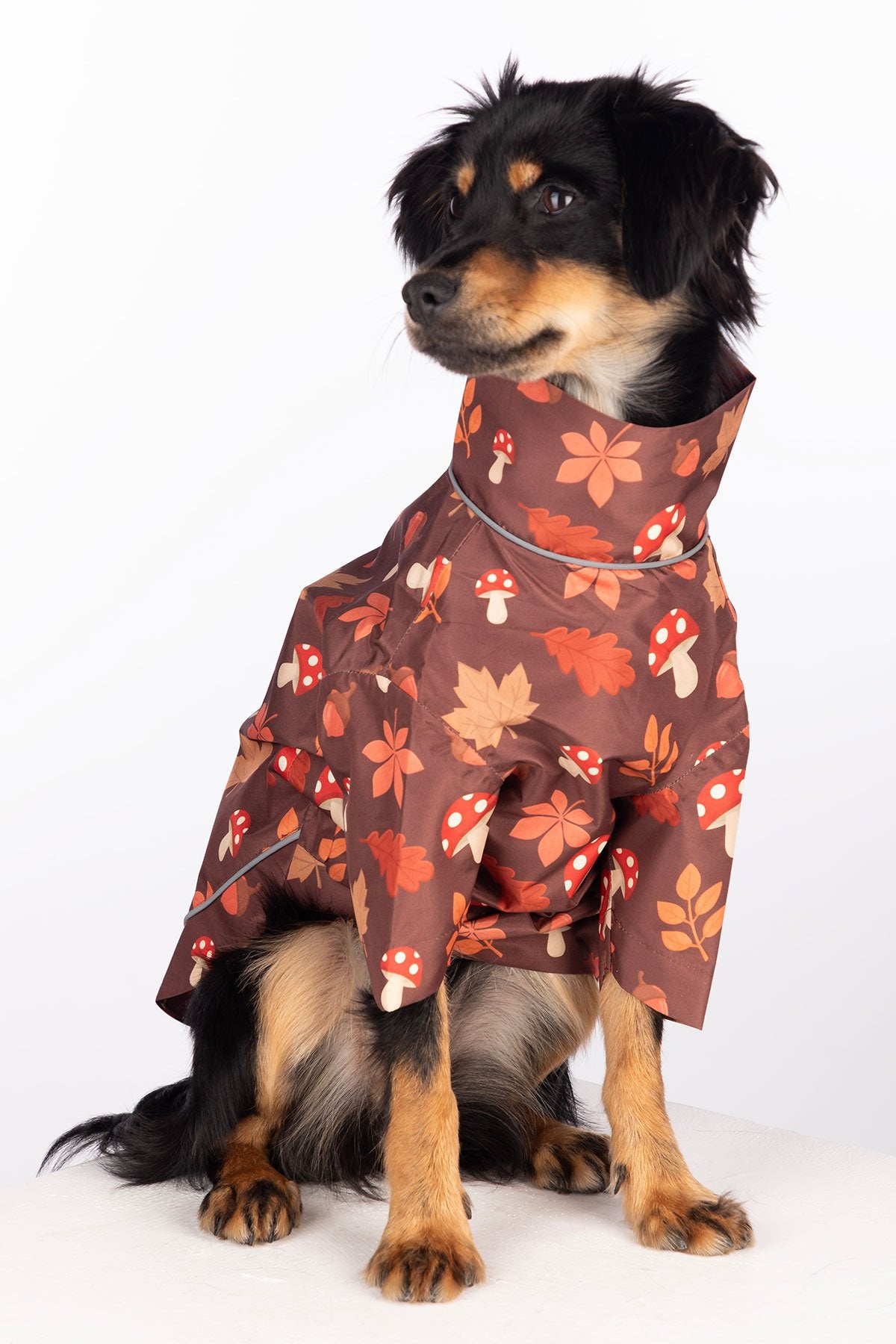 Rydale Patterned Dog Raincoats - Yapham