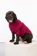 Rydale Fleece Dog Jumper - Yapham