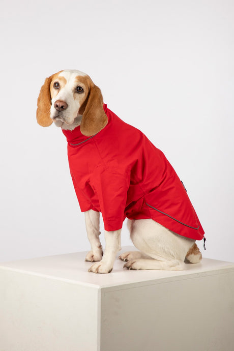Rydale Dog Raincoats - Yapham
