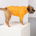 Rydale Dog Raincoats - Yapham