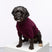 Rydale Fleece Dog Jumper - Yapham