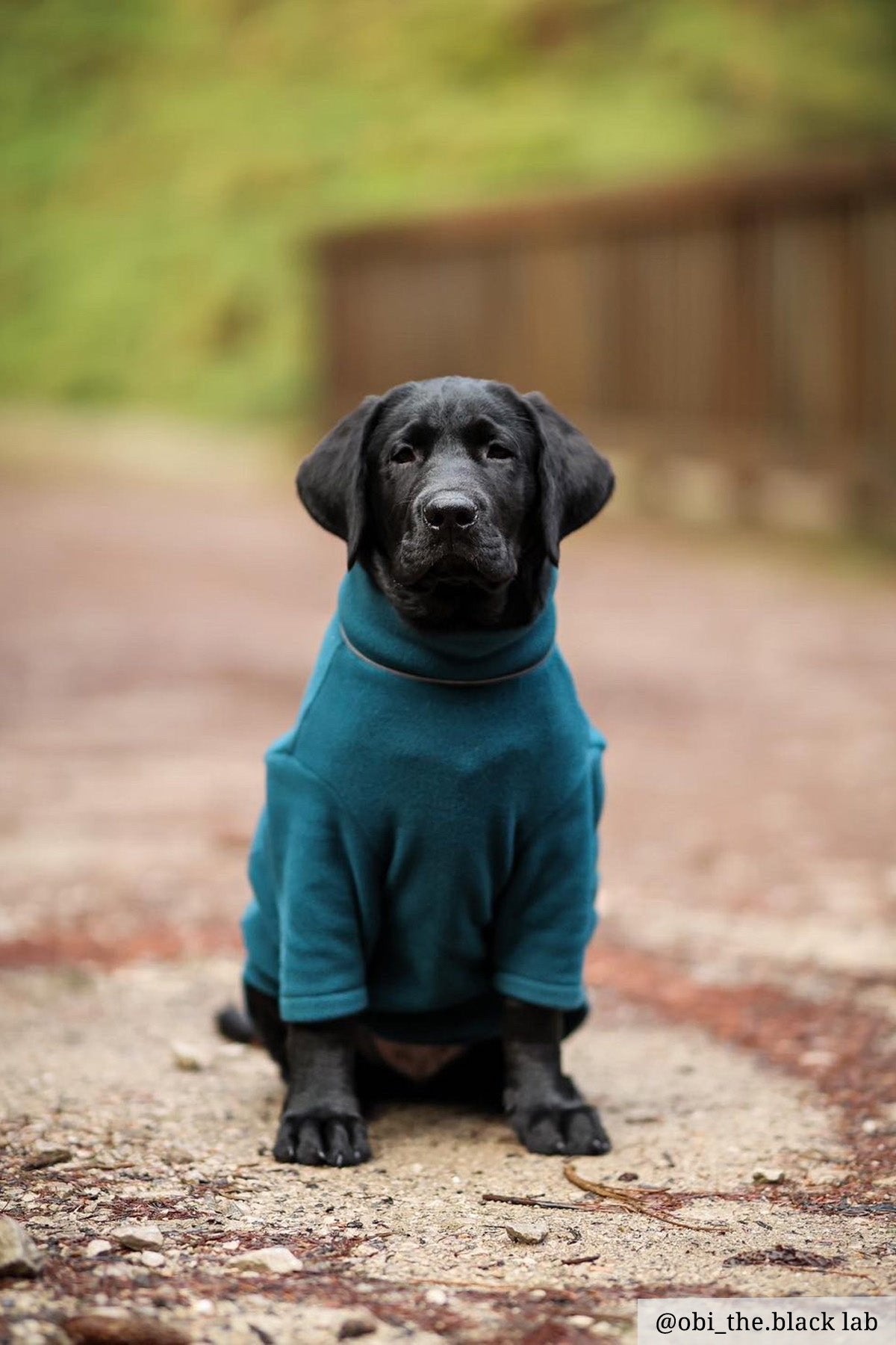 Rydale Fleece Dog Jumper - Yapham