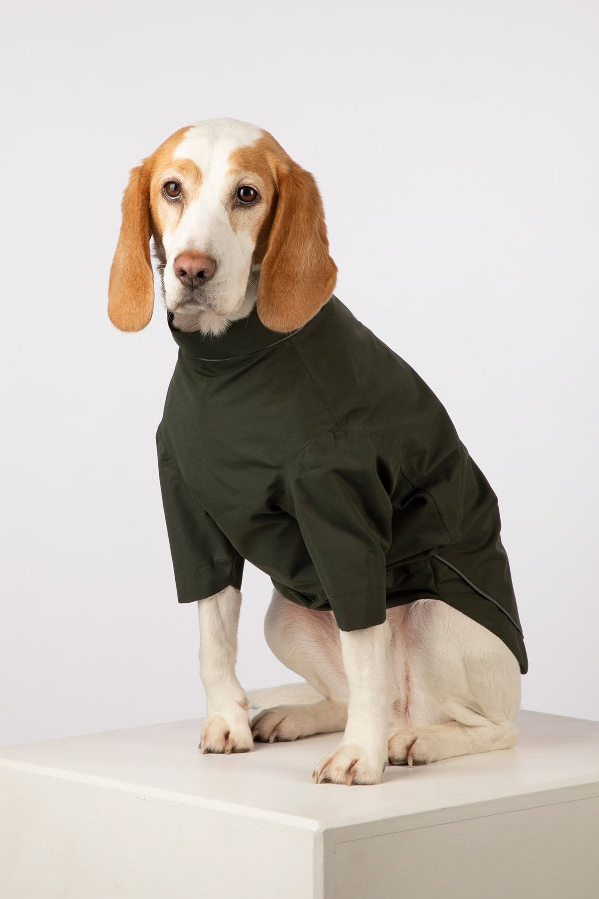 Rydale Dog Raincoats - Yapham