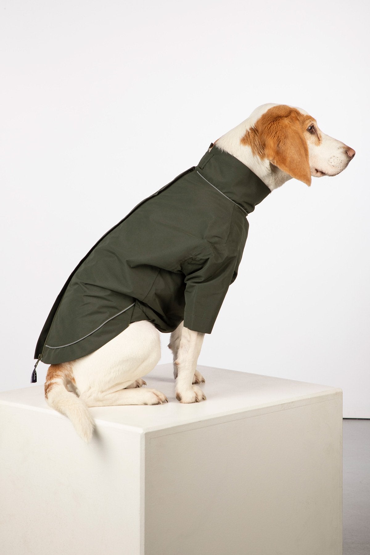 Rydale Dog Raincoats - Yapham