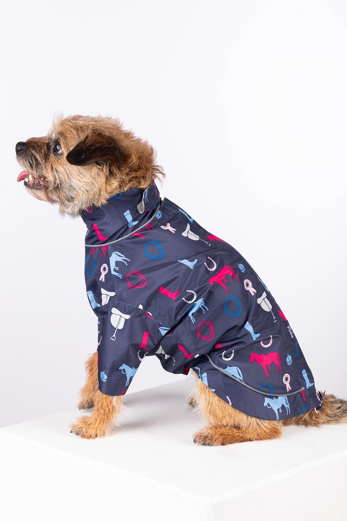 Rydale Patterned Dog Raincoats - Yapham
