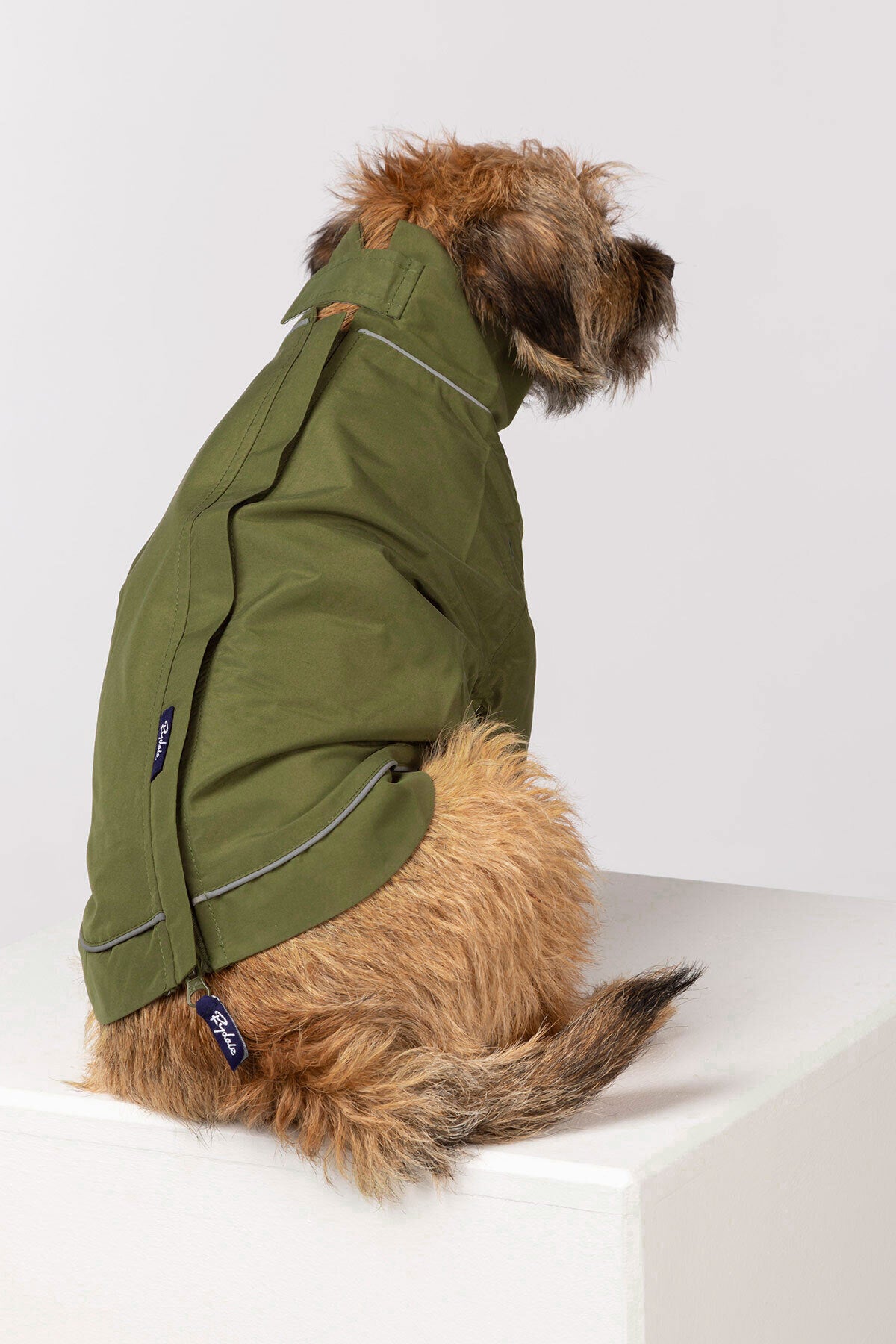 Rydale Dog Raincoats - Yapham
