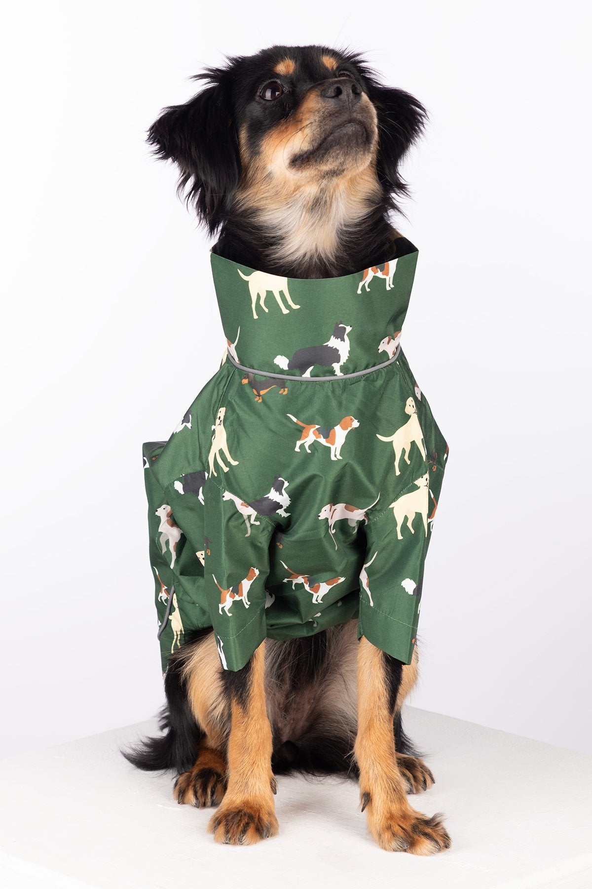 Rydale Patterned Dog Raincoats - Yapham