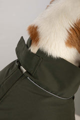 Rydale Dog Raincoats - Yapham
