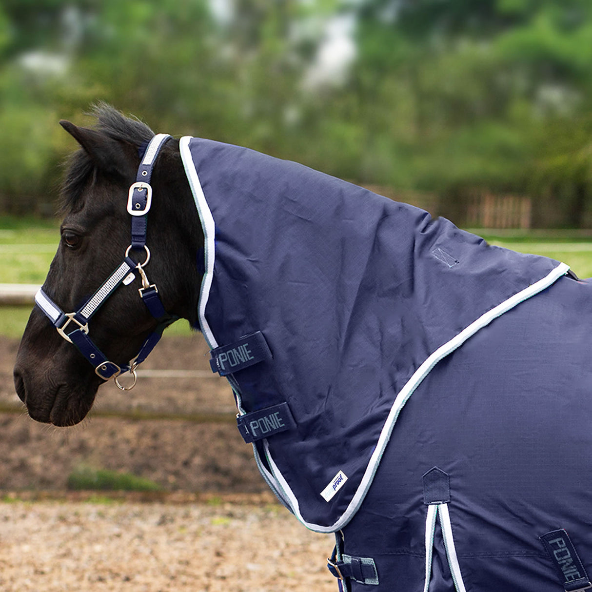 Gallop Ponie Duraproof 5-Point Lightweight Neck Cover